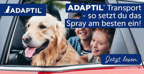 ADAPTIL Transport - so setzt du das Spray am besten ein!