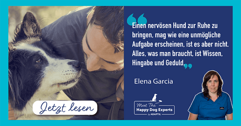 Mein Hund ist unruhig – Was kann ich tun?