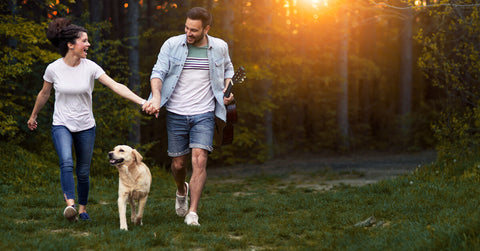 10 Arten, wie du deinen Hund geistig auslasten kannst