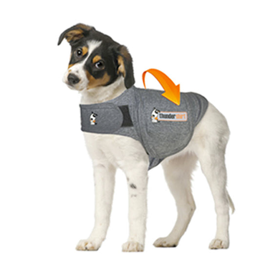 Thundershirt anziehen